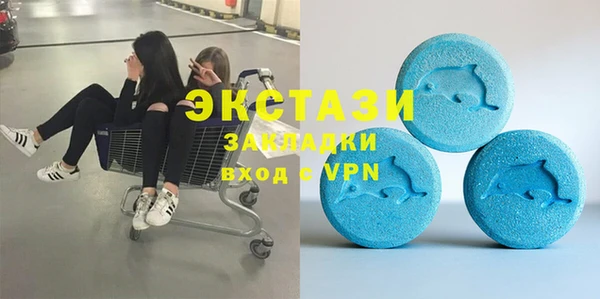 шишки Аркадак