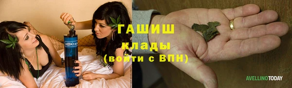 шишки Аркадак