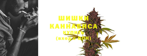 шишки Аркадак