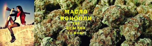 шишки Аркадак