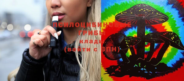 прущие грибы Баксан