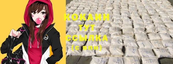 ешки Арсеньев
