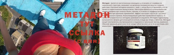 шишки Аркадак