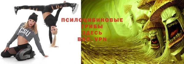 шишки Аркадак