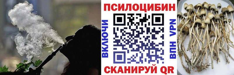 Псилоцибиновые грибы MAGIC MUSHROOMS  Краснотурьинск 